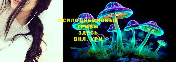дурь Абаза