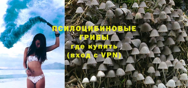 бошки Абинск