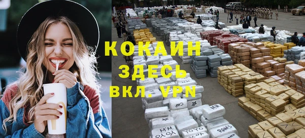 мдпв Козловка