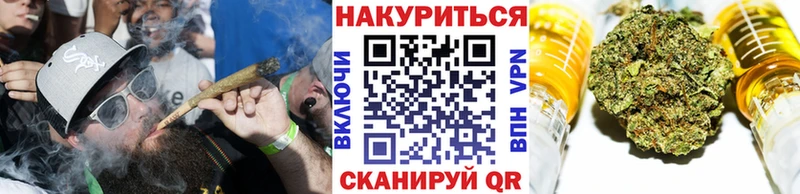 МАРИХУАНА сатива  где найти наркотики  Абаза 